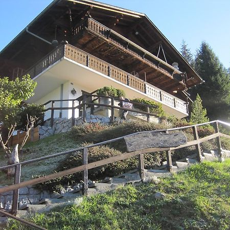 Chalet Erica Apartment Jaun Bagian luar foto
