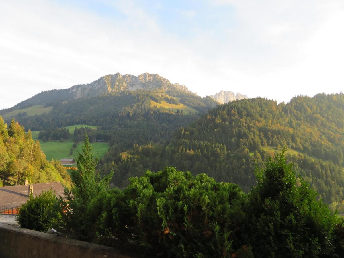 Chalet Erica Apartment Jaun Bagian luar foto
