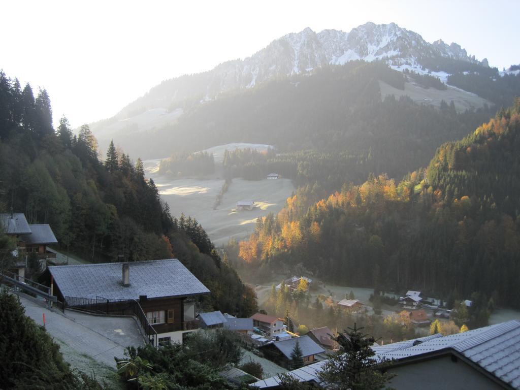 Chalet Erica Apartment Jaun Bagian luar foto