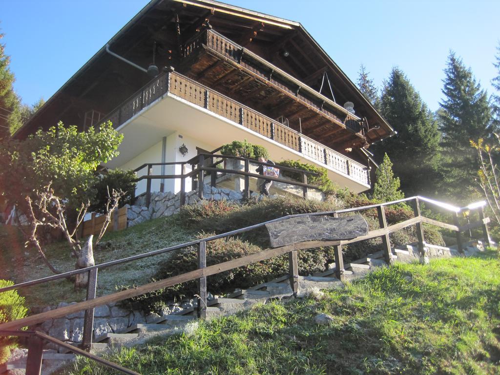 Chalet Erica Apartment Jaun Bagian luar foto