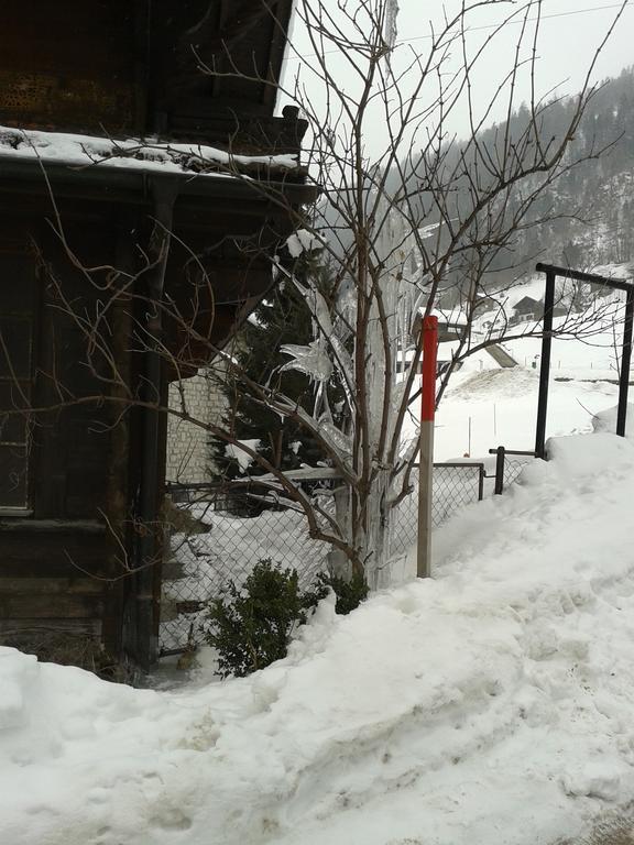 Chalet Erica Apartment Jaun Bagian luar foto