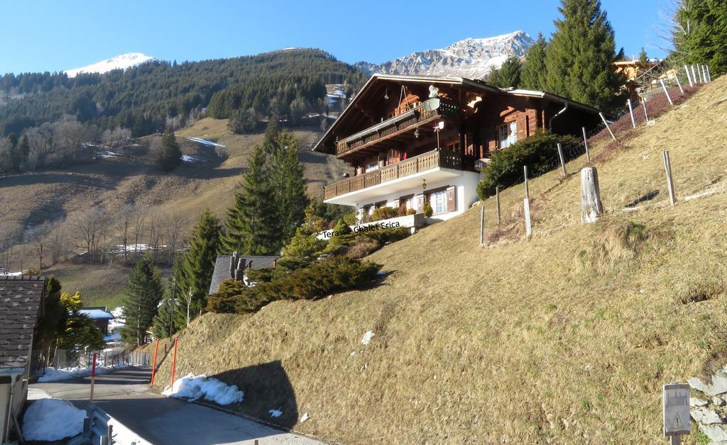 Chalet Erica Apartment Jaun Bagian luar foto